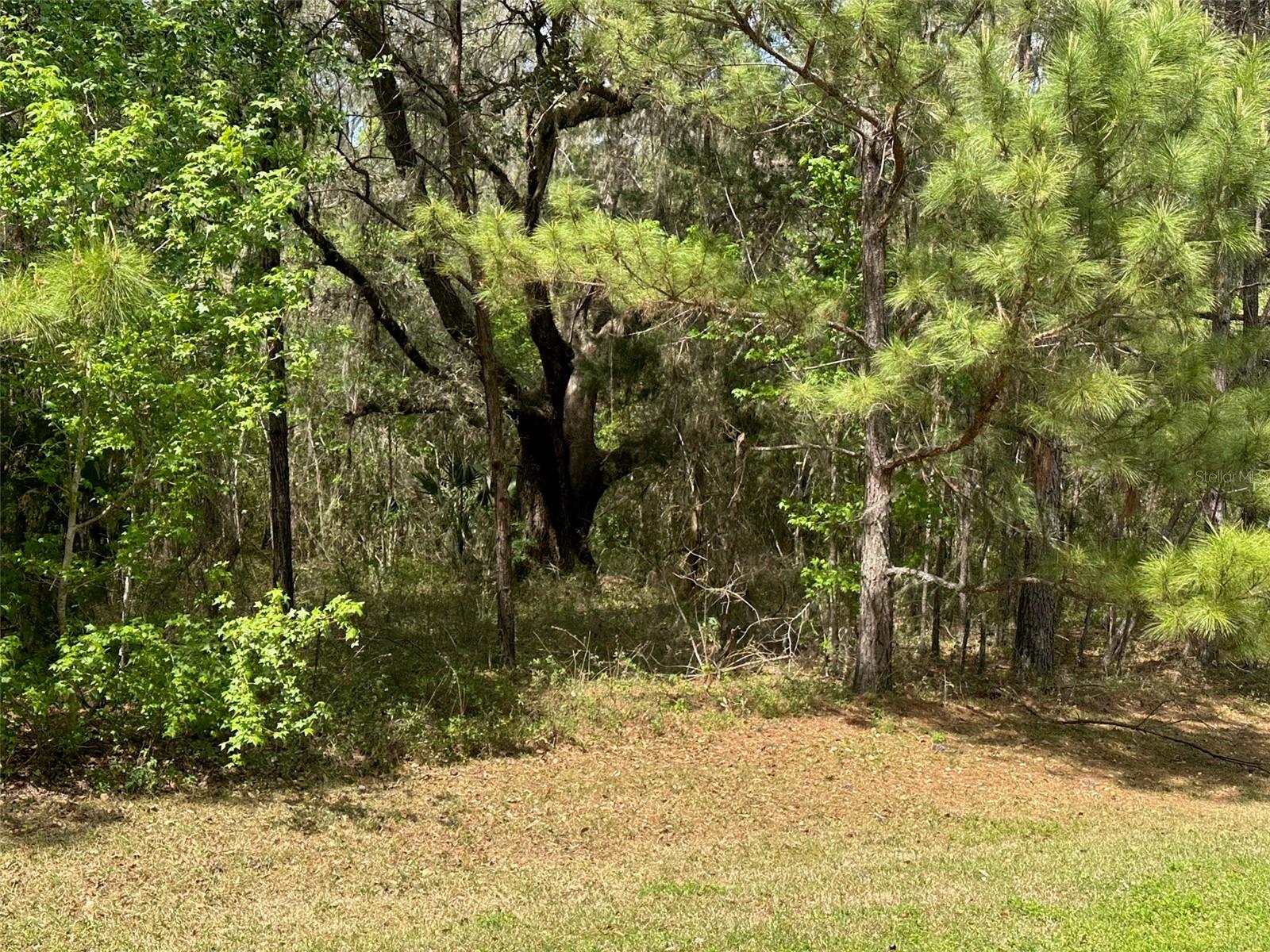 015 SW 144TH COURT ROAD, OCALA, FL, 34481