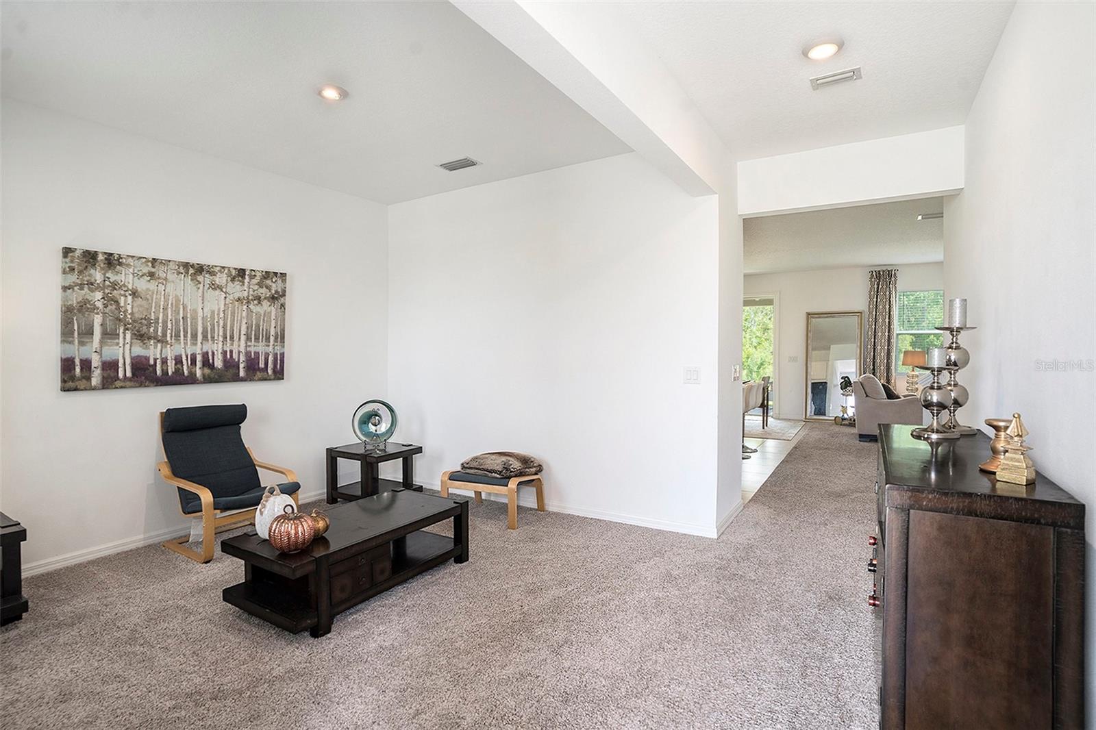 13802 KINSALE ST, RIVERVIEW, FL, 33579