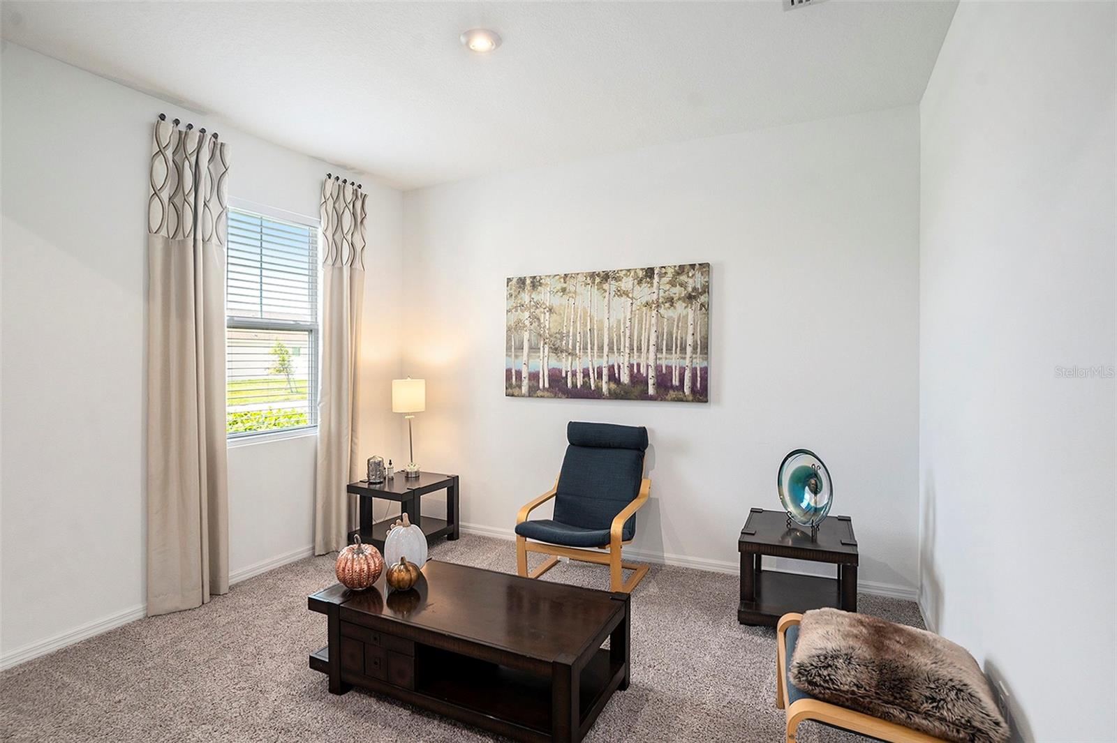 13802 KINSALE ST, RIVERVIEW, FL, 33579