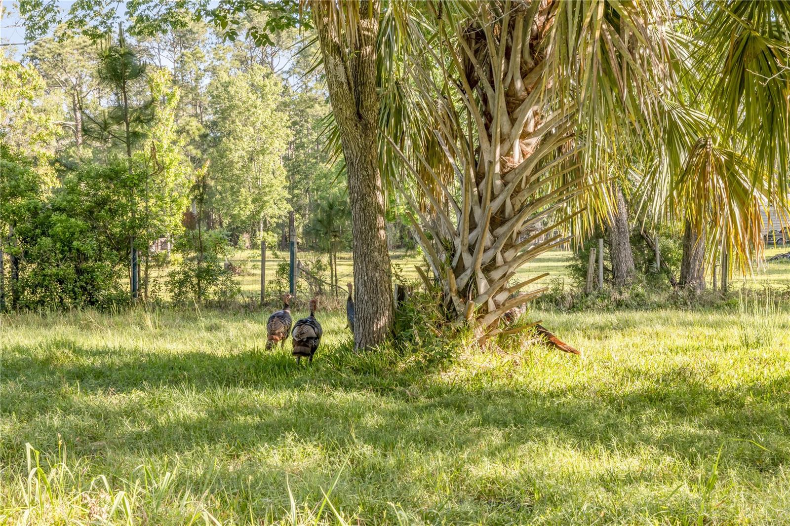 416 WESTERN RD, NEW SMYRNA BEACH, FL, 32168