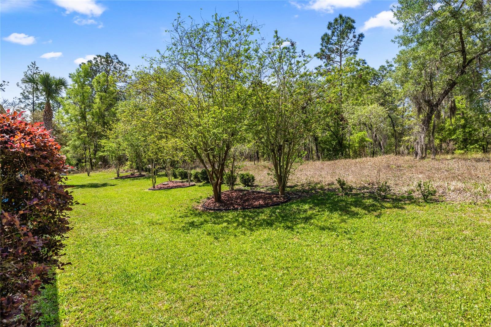 18498 SW 69TH LOOP, DUNNELLON, FL, 34432