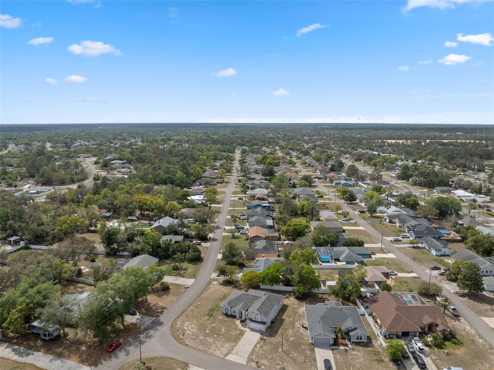 3017 ALDORO AVE, SPRING HILL, FL, 34609