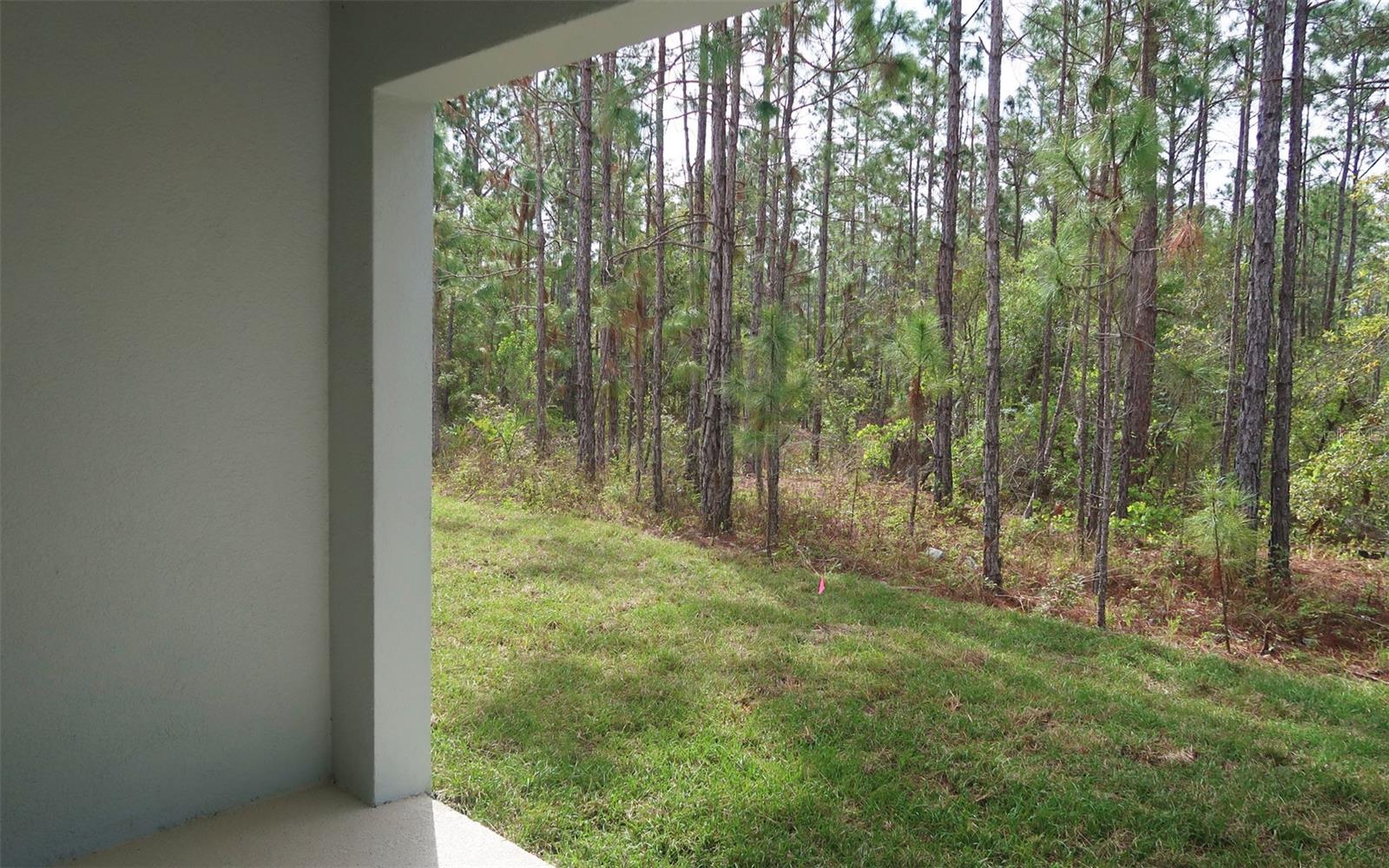 226 GLASS ONION DR, GROVELAND, FL, 34737