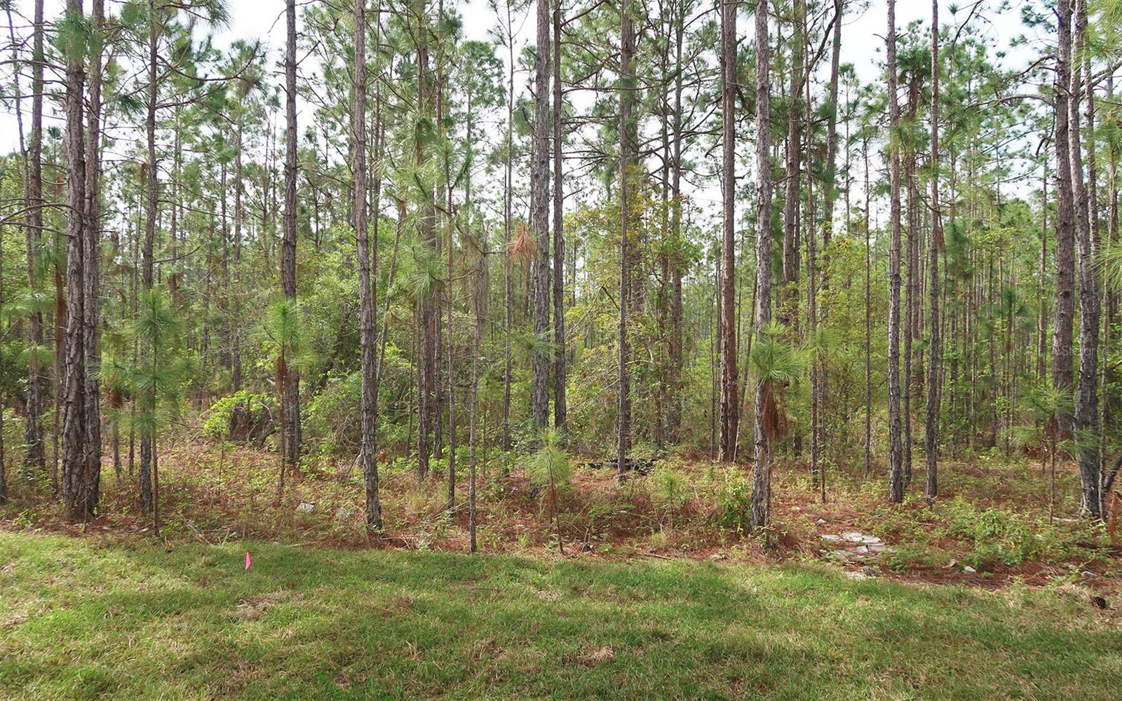 226 GLASS ONION DR, GROVELAND, FL, 34737