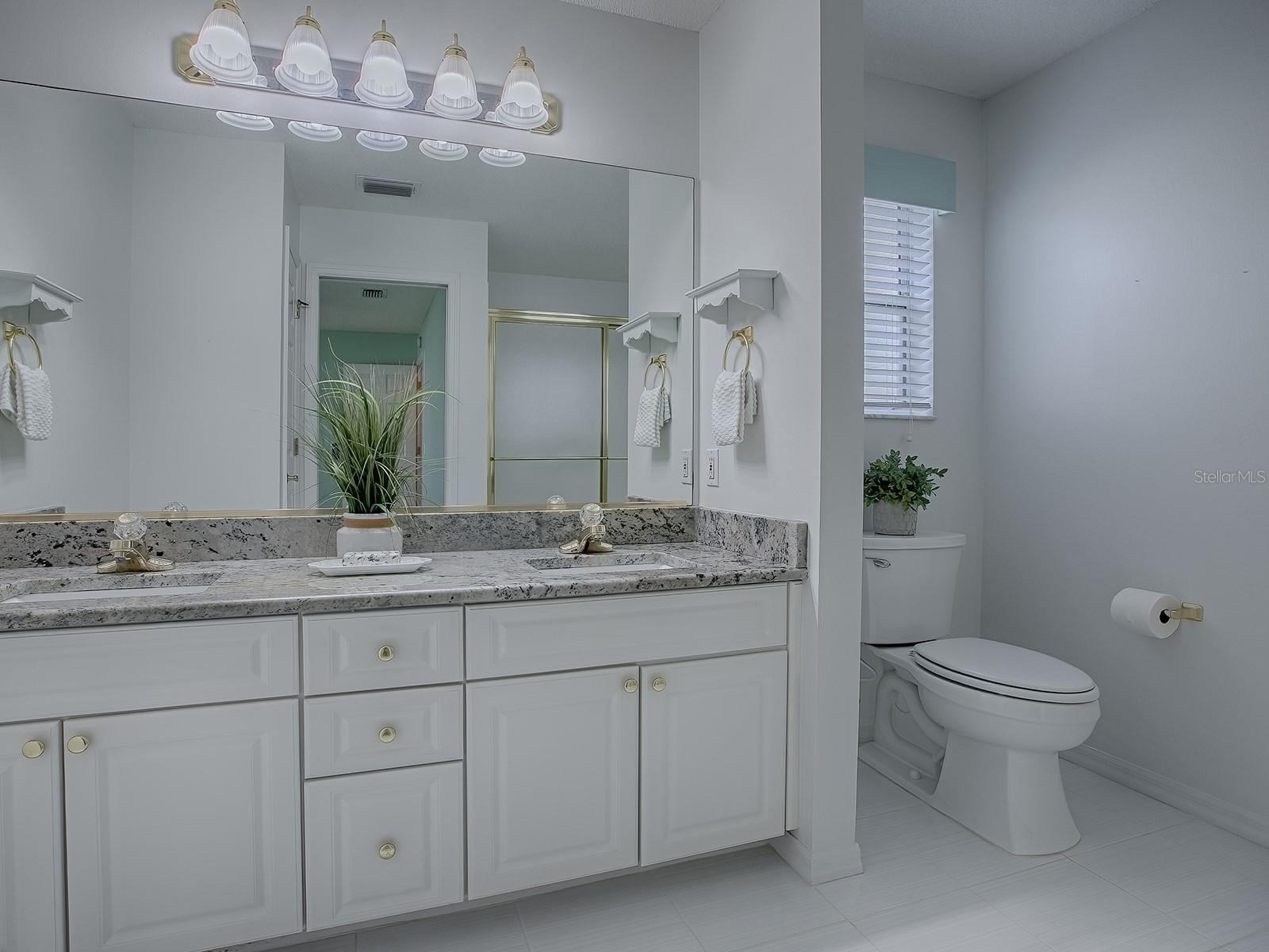 2103 PATINO LN, THE VILLAGES, FL, 32159