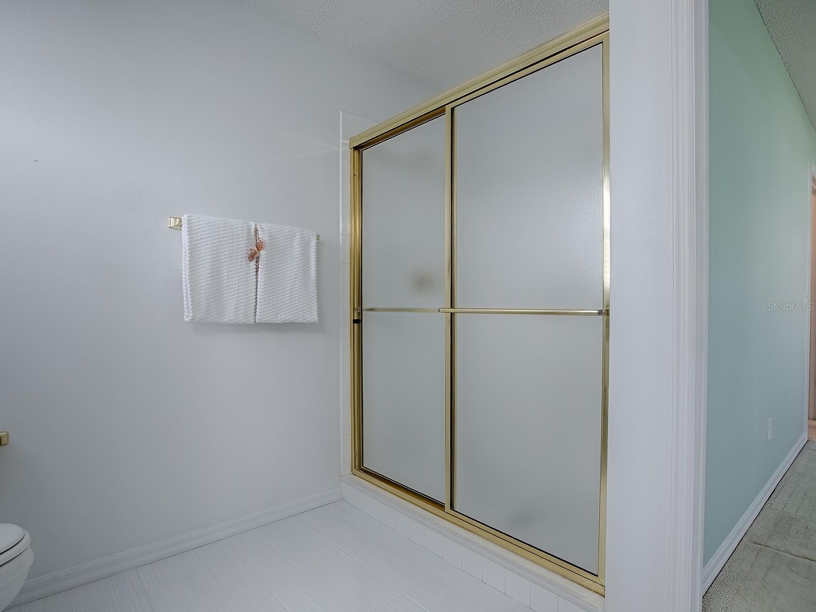 2103 PATINO LN, THE VILLAGES, FL, 32159