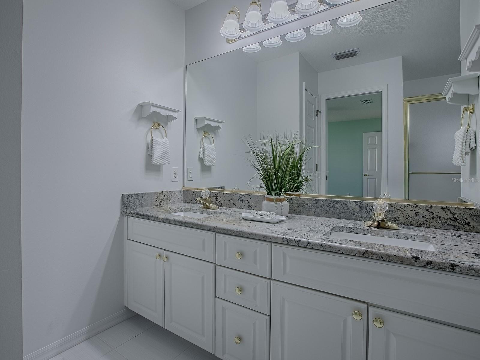 2103 PATINO LN, THE VILLAGES, FL, 32159