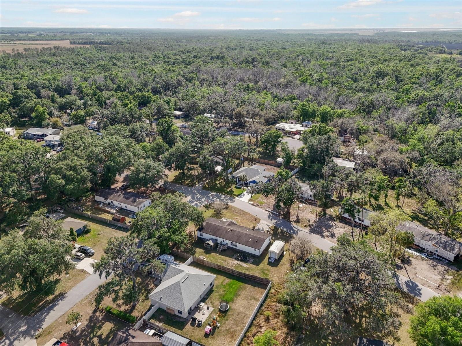 4795 MYRTLE VIEW DR W, MULBERRY, FL, 33860