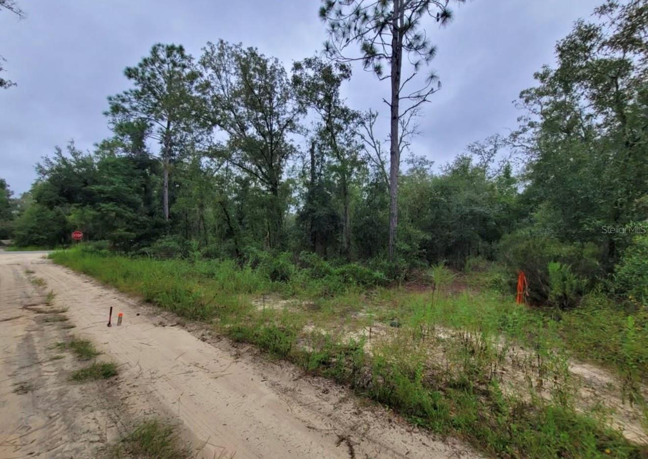 000 NE 120TH ST, BRONSON, FL, 32621