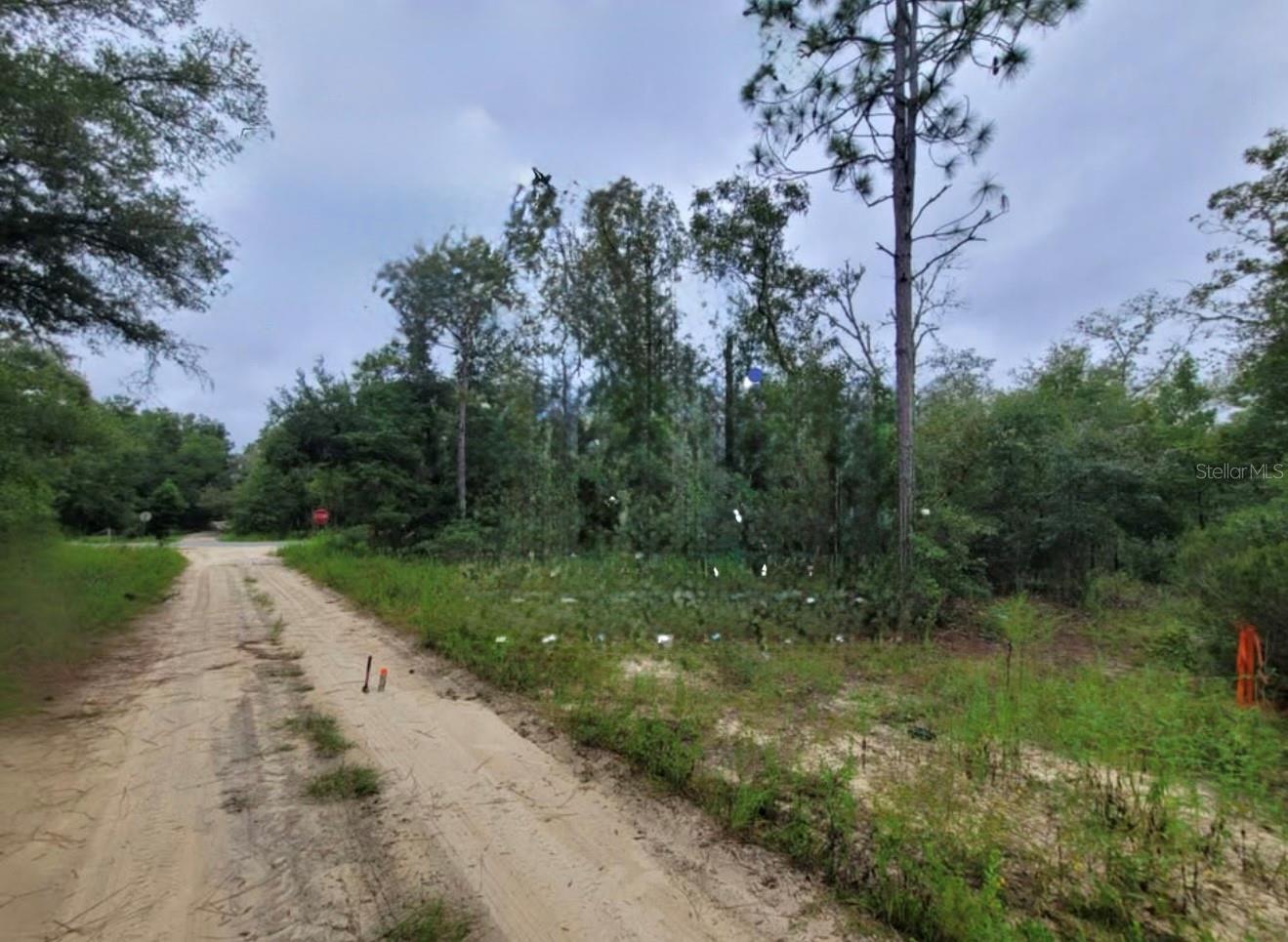 000 NE 120TH ST, BRONSON, FL, 32621