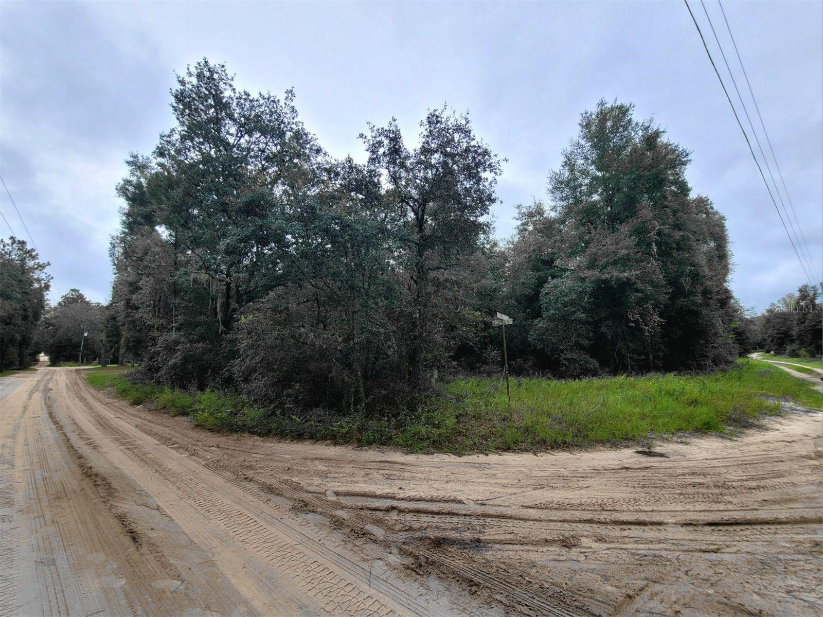 000 NE 120TH ST, BRONSON, FL, 32621