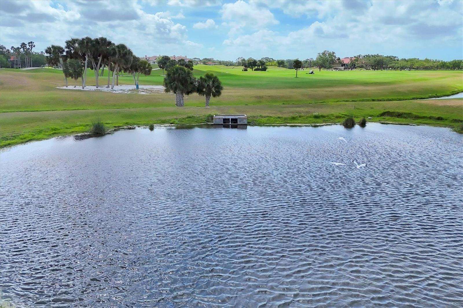 7334 REGINA ROYALE #74, SARASOTA, FL, 34238