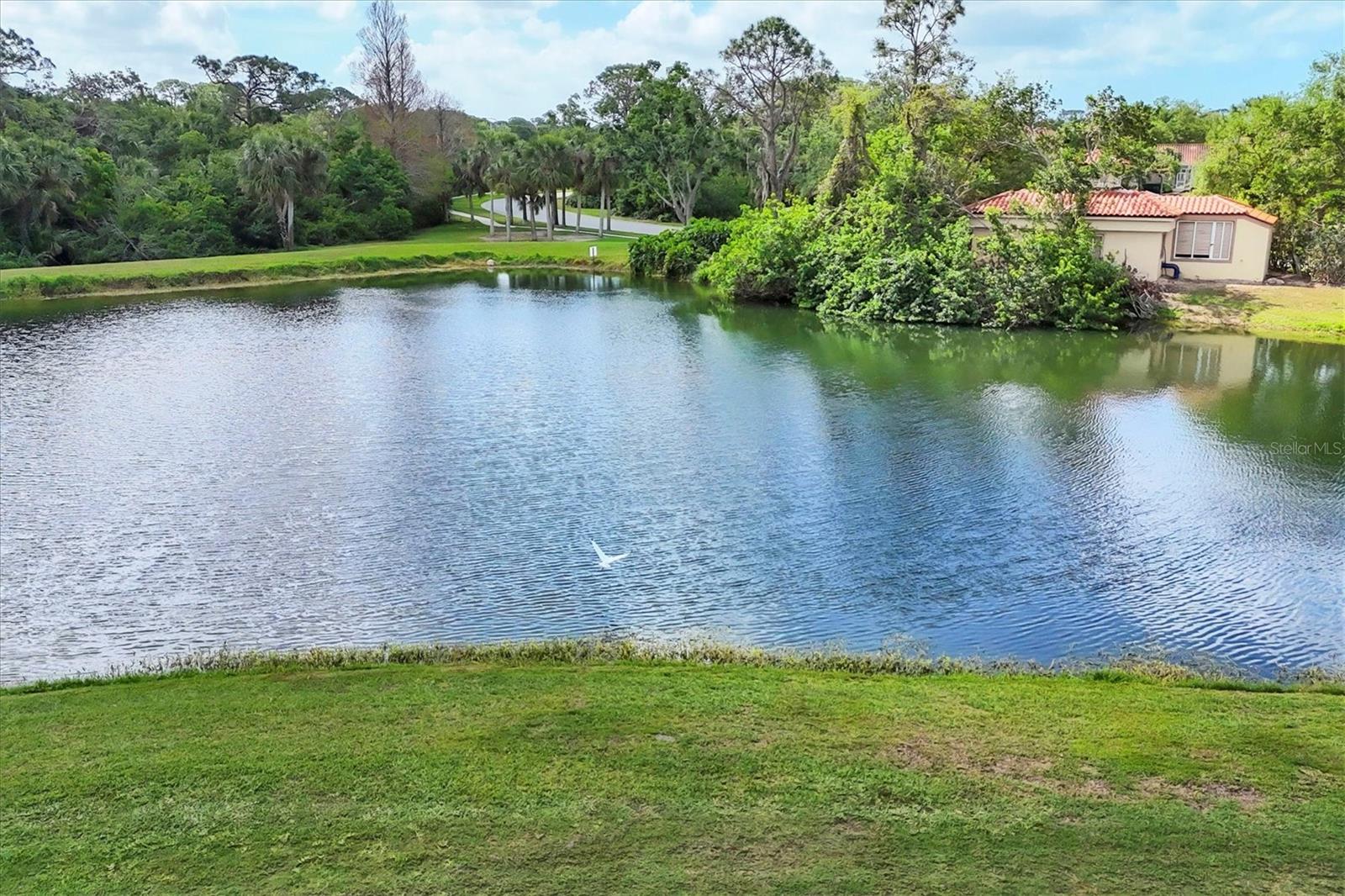 7334 REGINA ROYALE #74, SARASOTA, FL, 34238