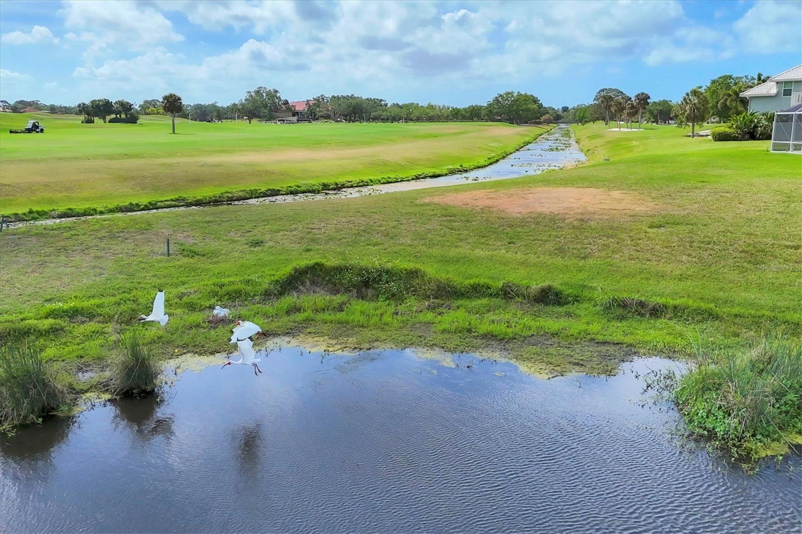 7334 REGINA ROYALE #74, SARASOTA, FL, 34238
