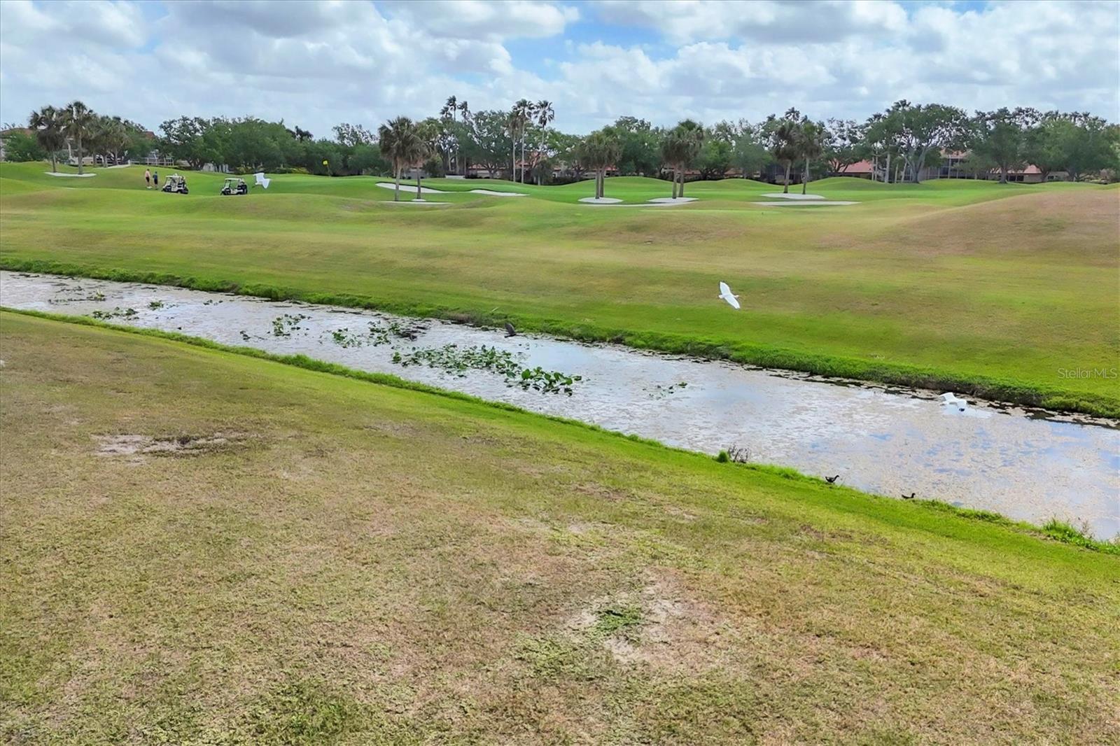 7334 REGINA ROYALE #74, SARASOTA, FL, 34238