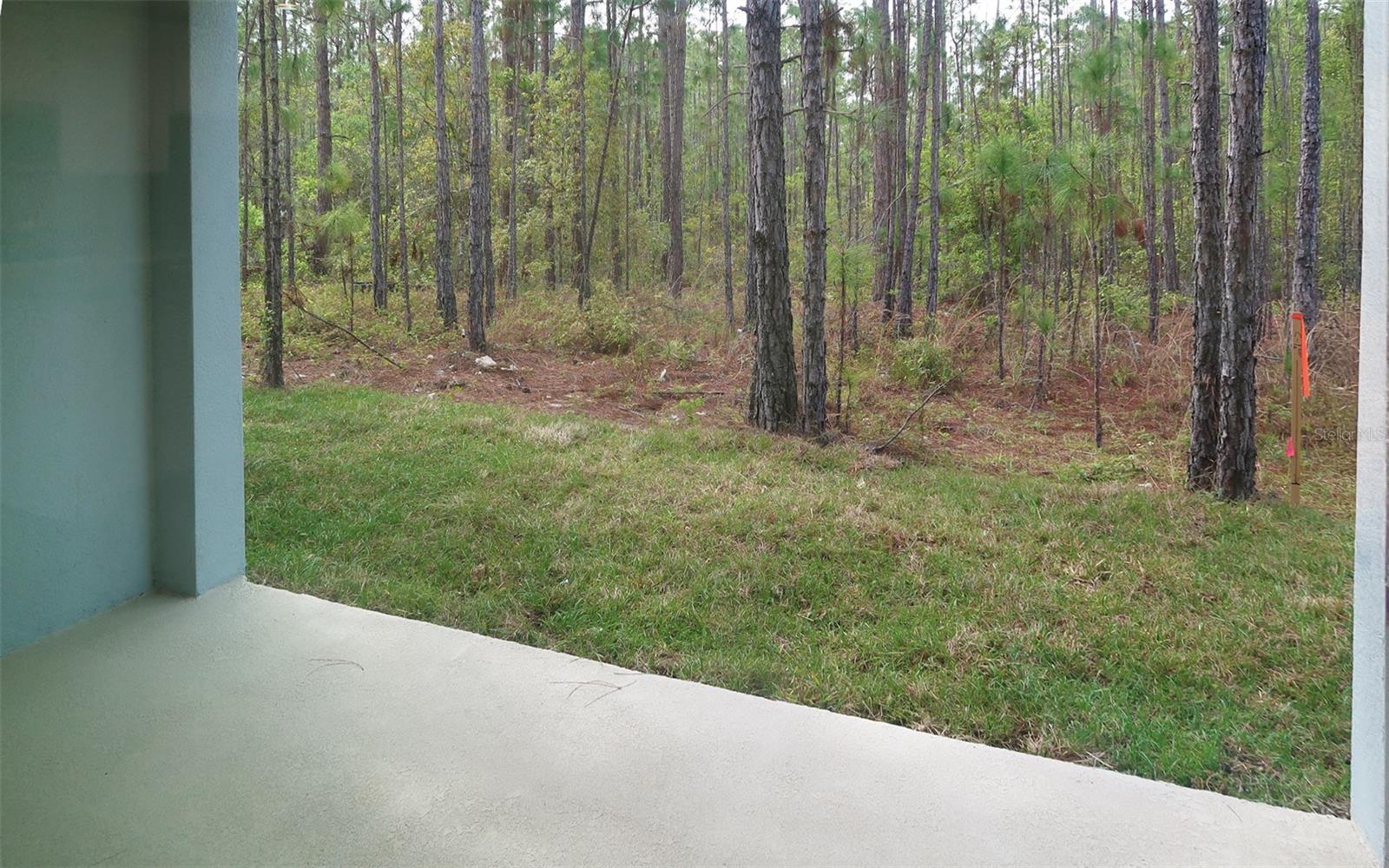 228 GLASS ONION DR, GROVELAND, FL, 34737