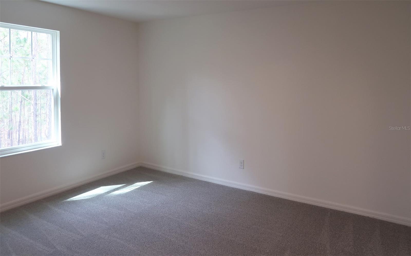 228 GLASS ONION DR, GROVELAND, FL, 34737