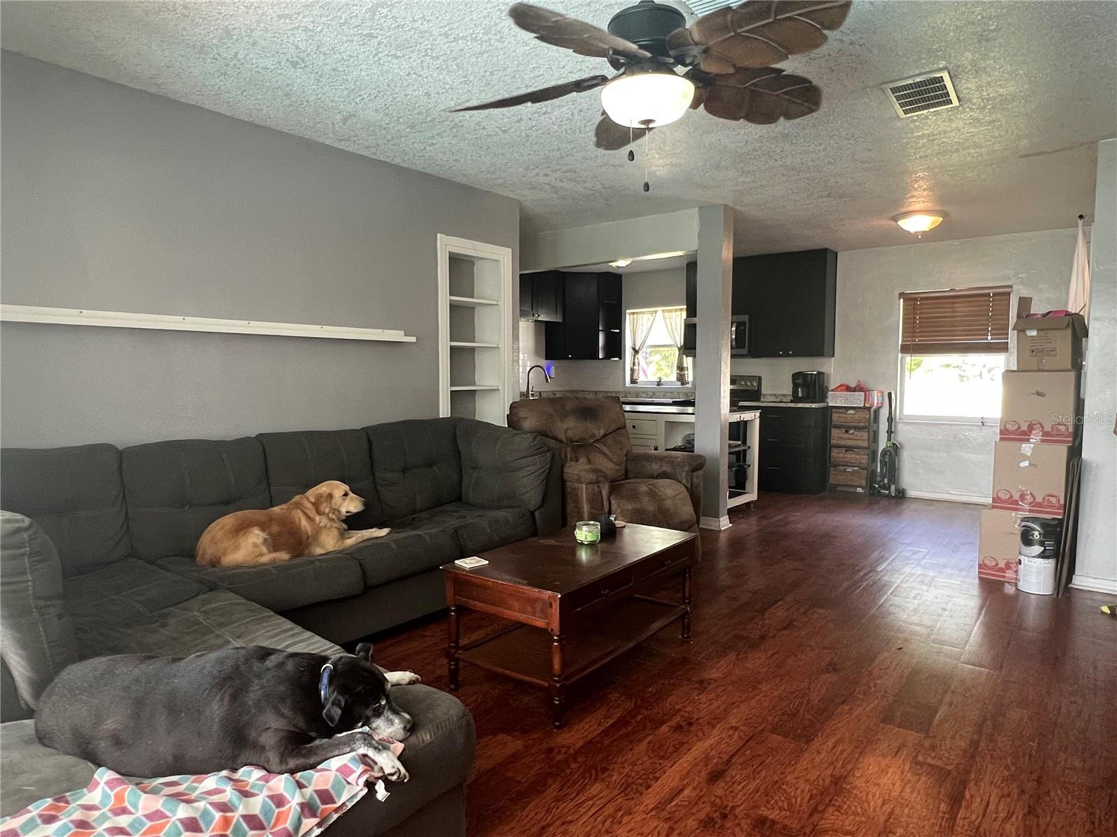 449 LAKE VIEW DR, APOPKA, FL, 32703