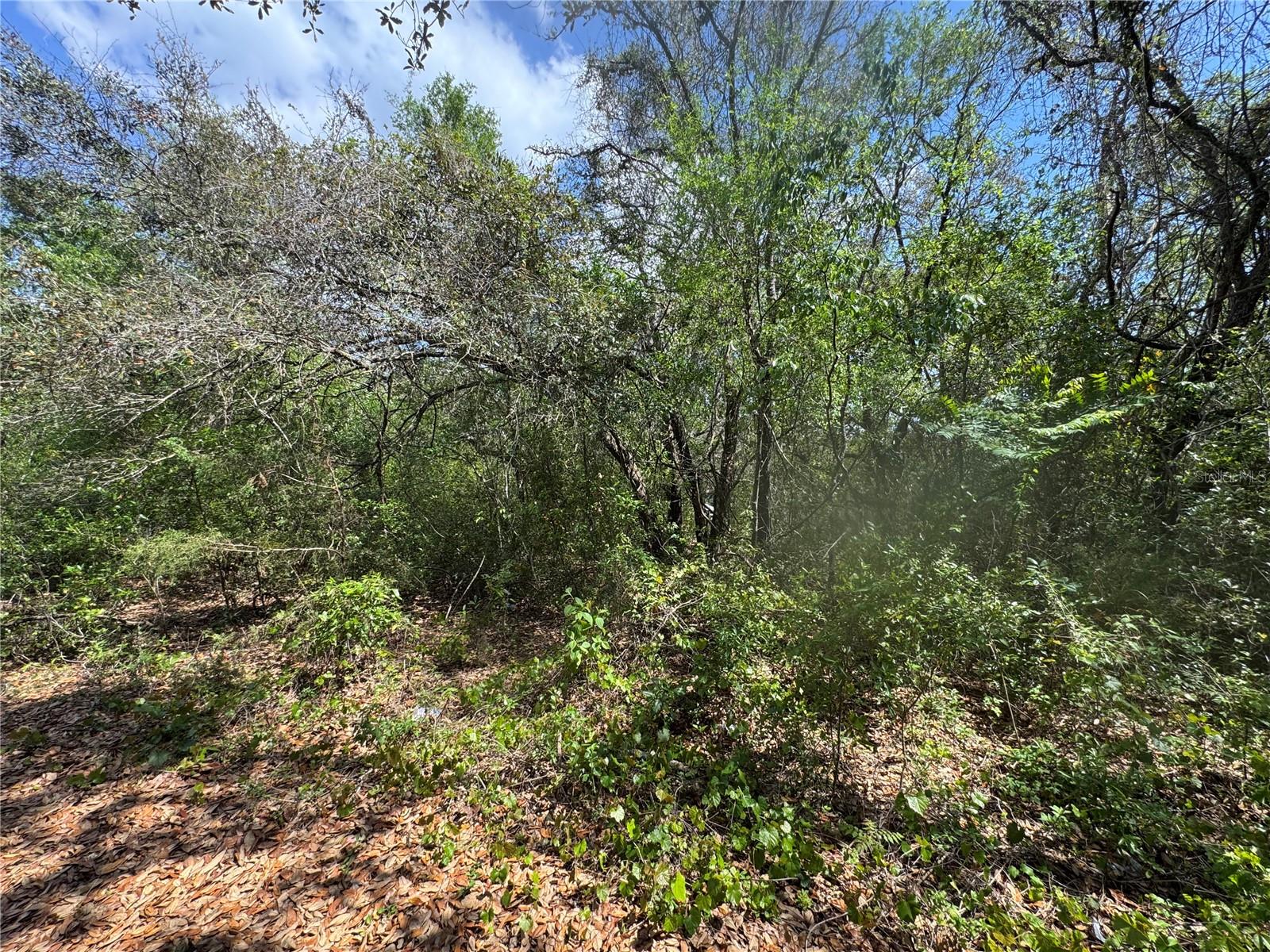 CASAURINA RD, LADY LAKE, FL, 32159