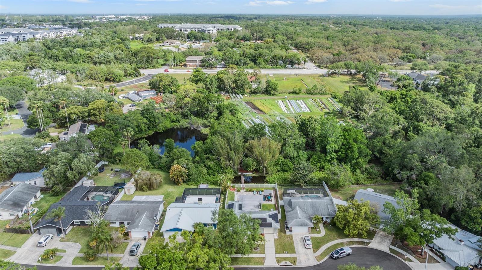 2779 DIANE TER, CLEARWATER, FL, 33759