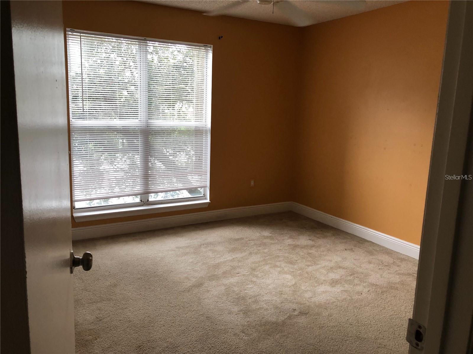 10114 WINSFORD OAK BLVD #517, TAMPA, FL, 33624