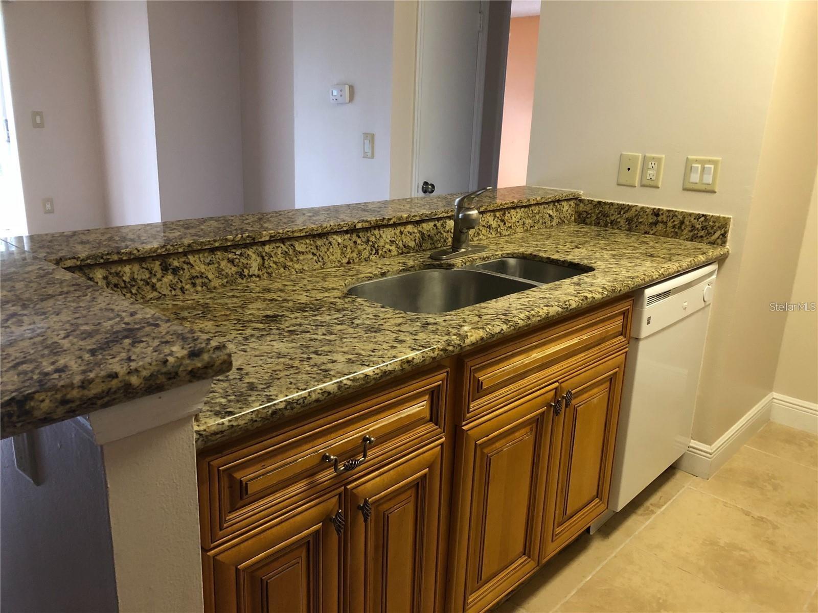 10114 WINSFORD OAK BLVD #517, TAMPA, FL, 33624