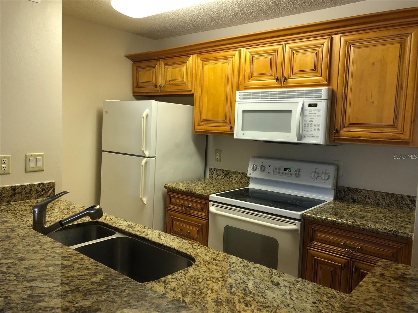 10114 WINSFORD OAK BLVD #517, TAMPA, FL, 33624