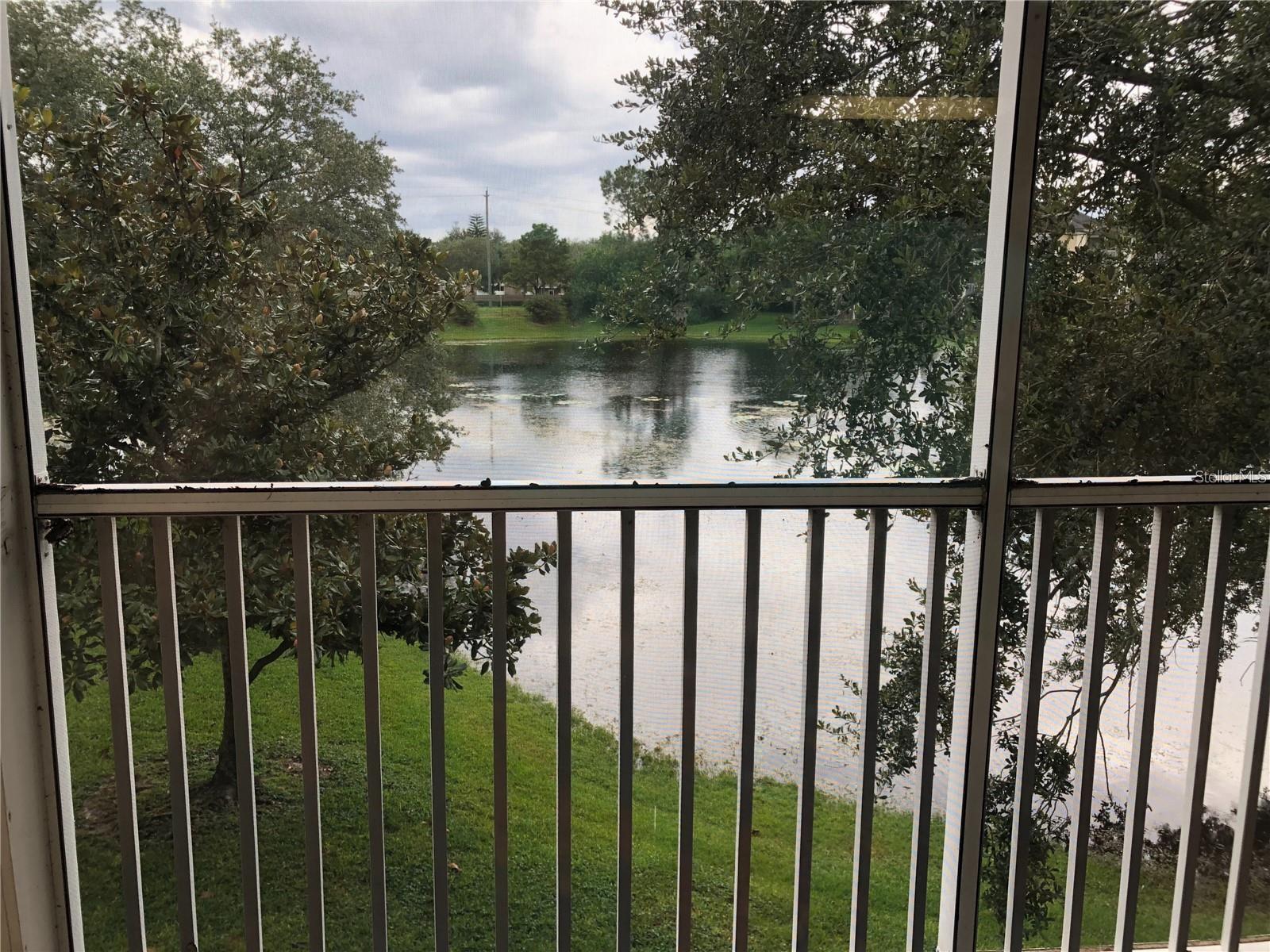 10114 WINSFORD OAK BLVD #517, TAMPA, FL, 33624