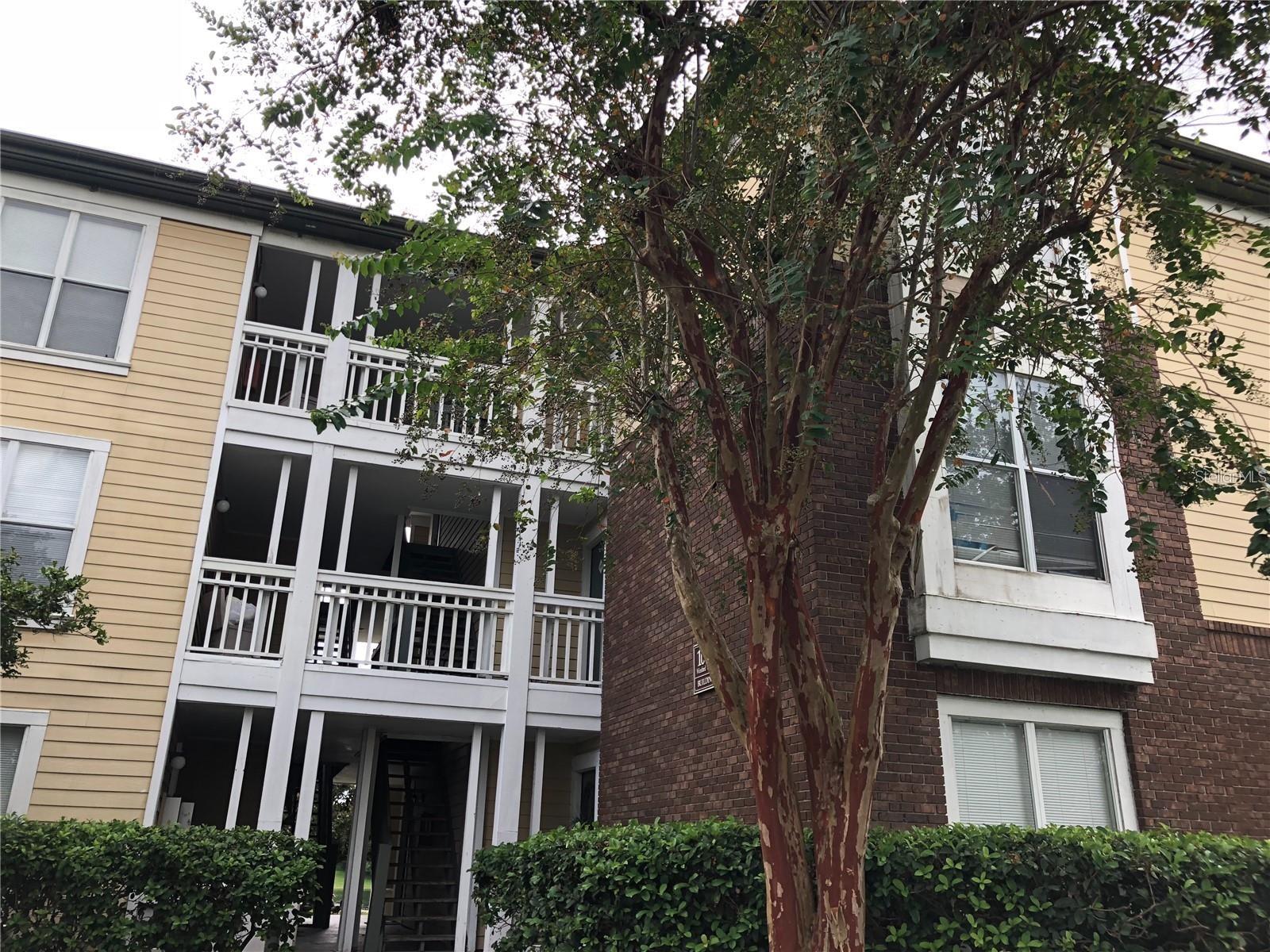 10114 WINSFORD OAK BLVD #517, TAMPA, FL, 33624