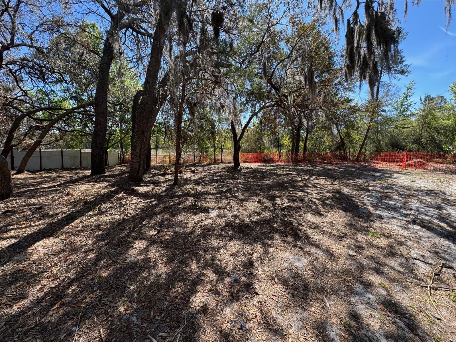 10132 LYNNHAVEN RD, SPRING HILL, FL, 34608