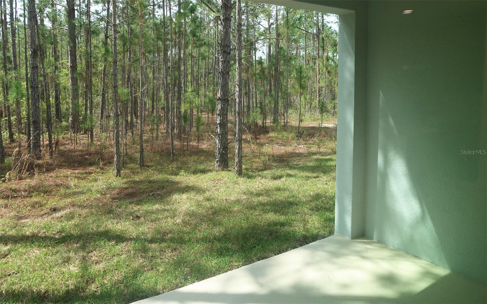 230 GLASS ONION DR, GROVELAND, FL, 34737