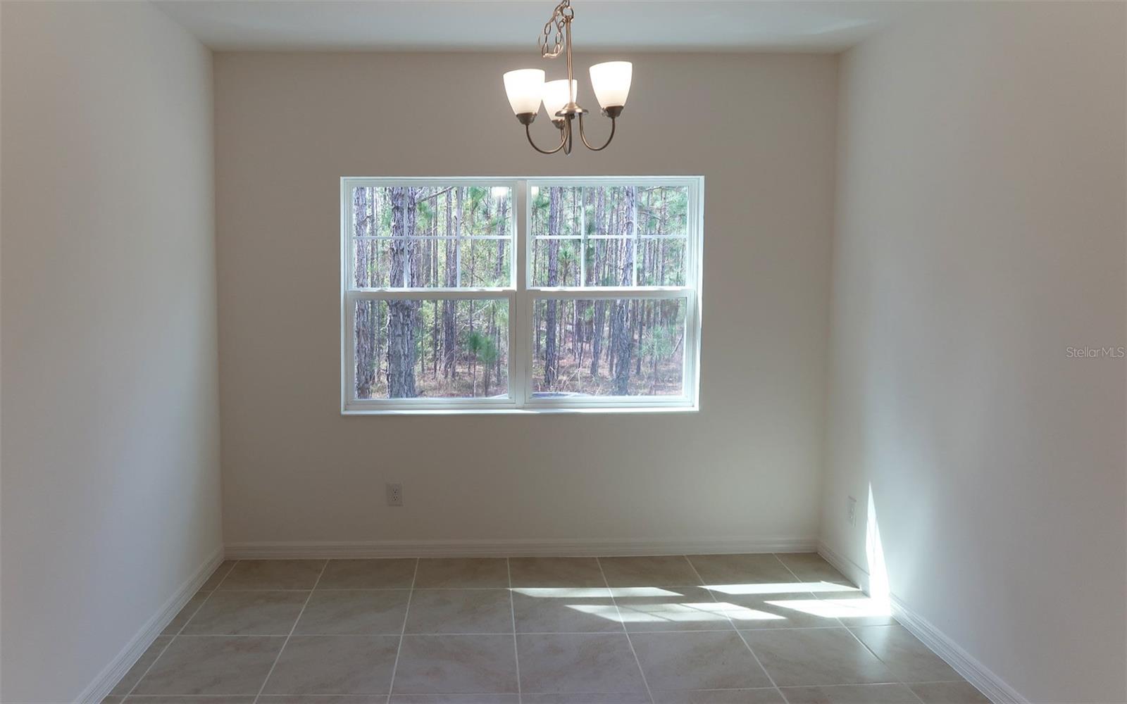 230 GLASS ONION DR, GROVELAND, FL, 34737