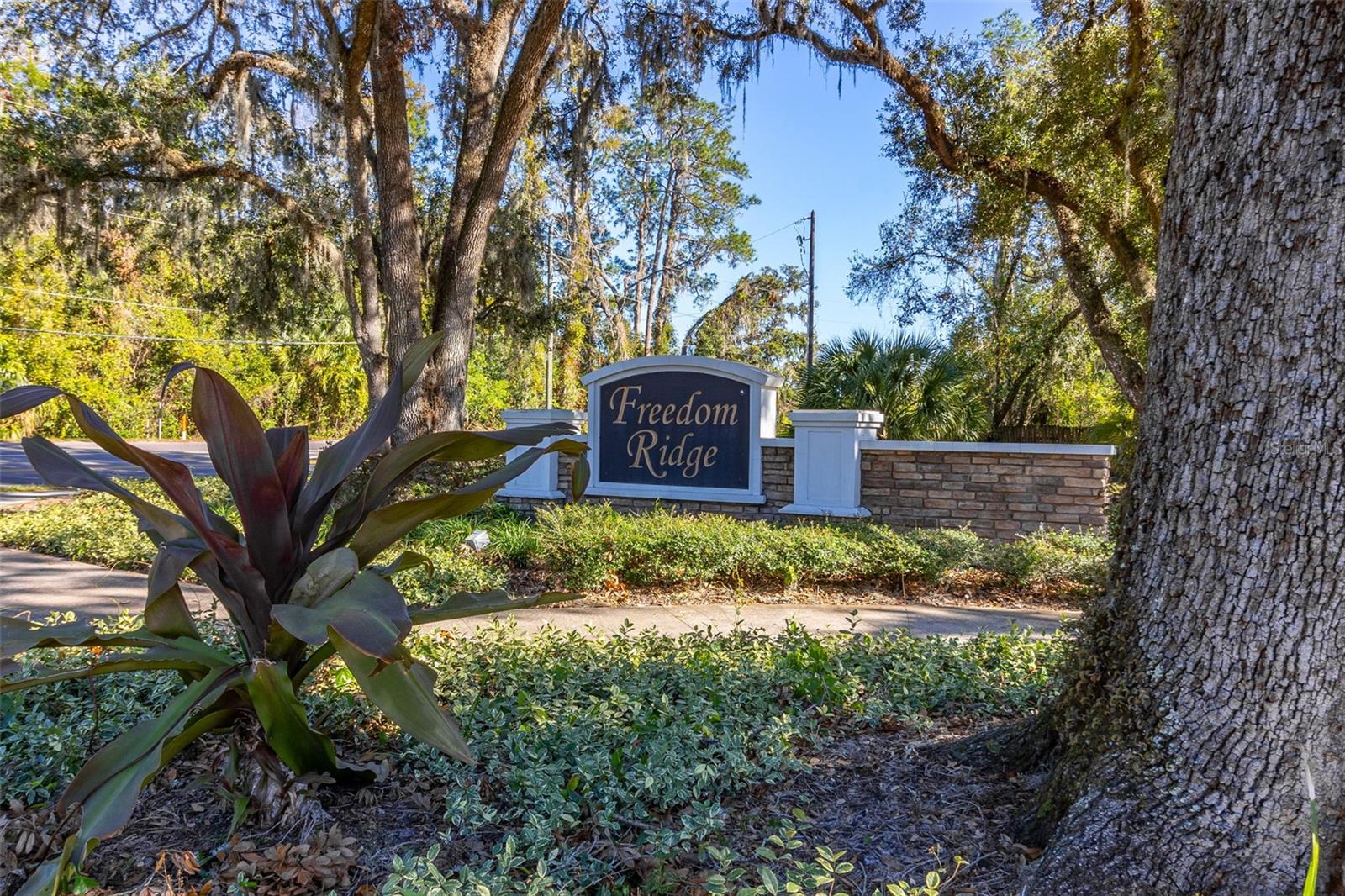 9231 FREEDOM HILL DR, SEFFNER, FL, 33584