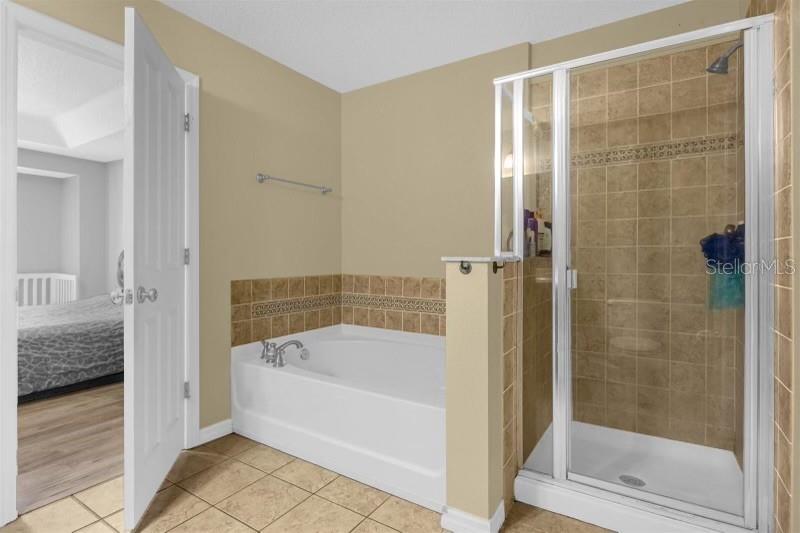 2575 AVENTURINE ST, KISSIMMEE, FL, 34744