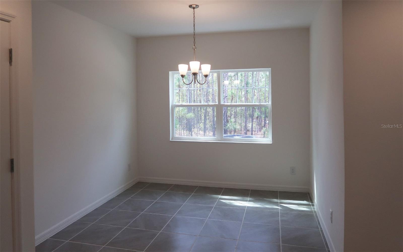 232 GLASS ONION DR, GROVELAND, FL, 34737