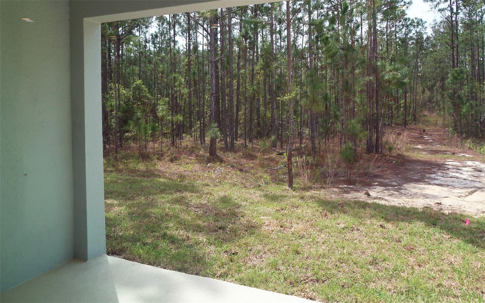 232 GLASS ONION DR, GROVELAND, FL, 34737