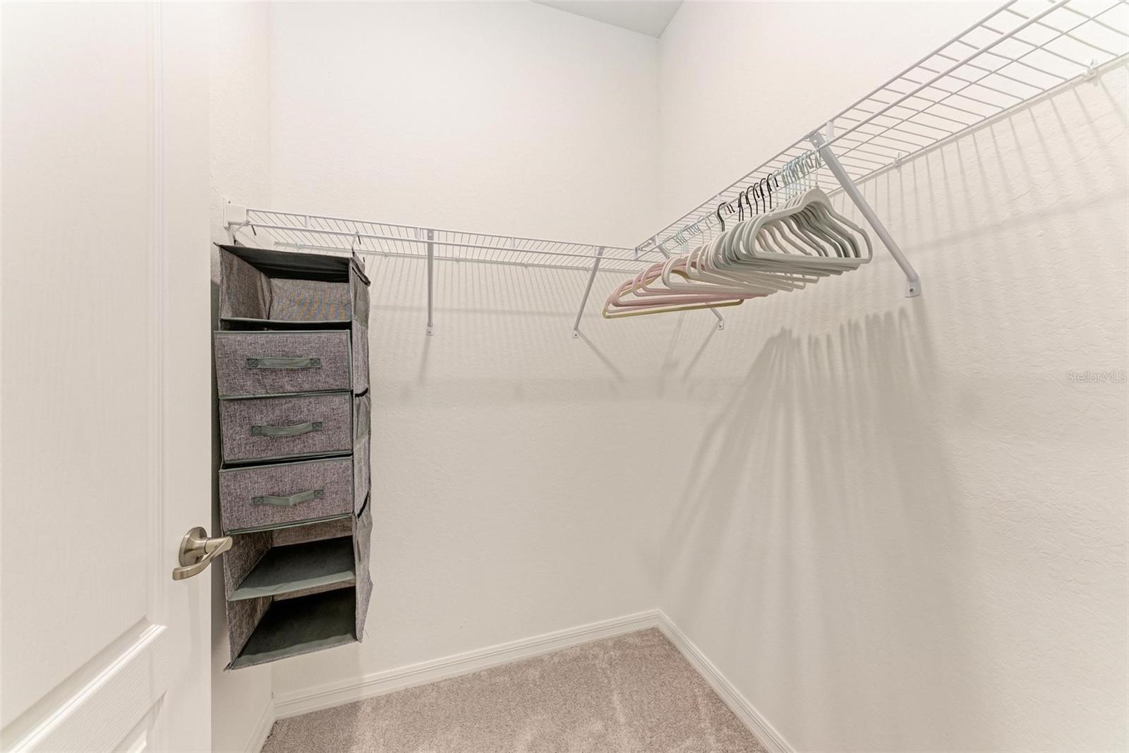 24157 SPARTINA DR, VENICE, FL, 34293