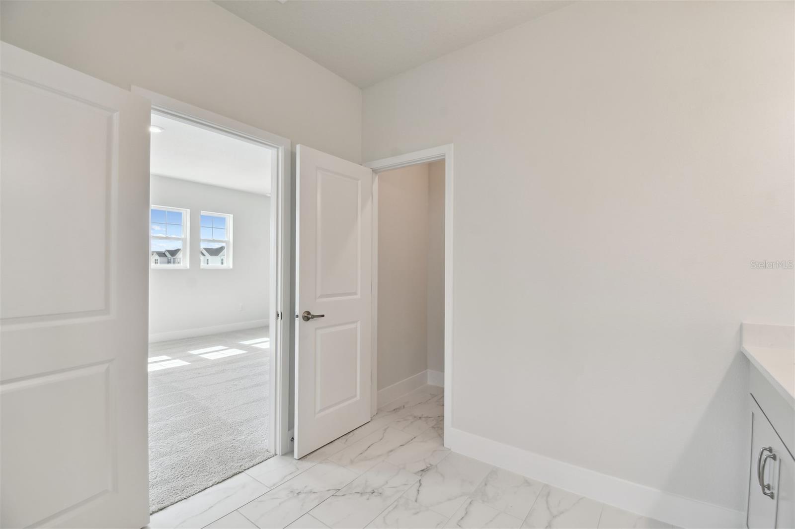 3319 GUANABANA XING, WESLEY CHAPEL, FL, 33543