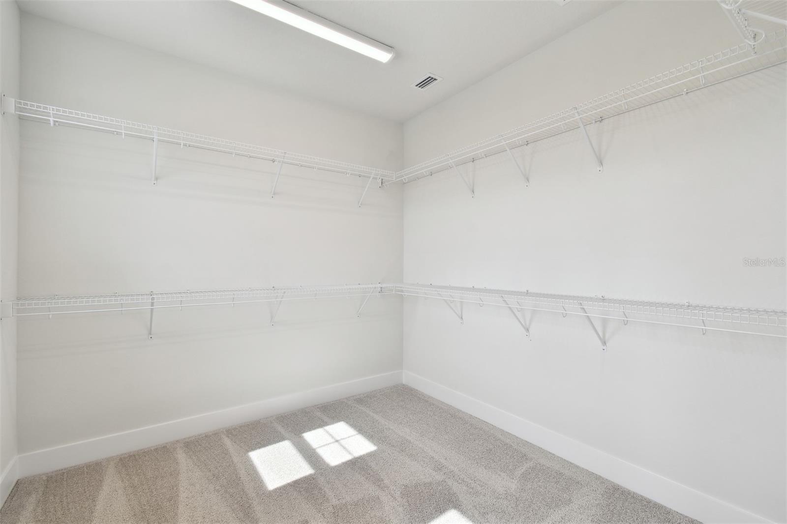 3319 GUANABANA XING, WESLEY CHAPEL, FL, 33543