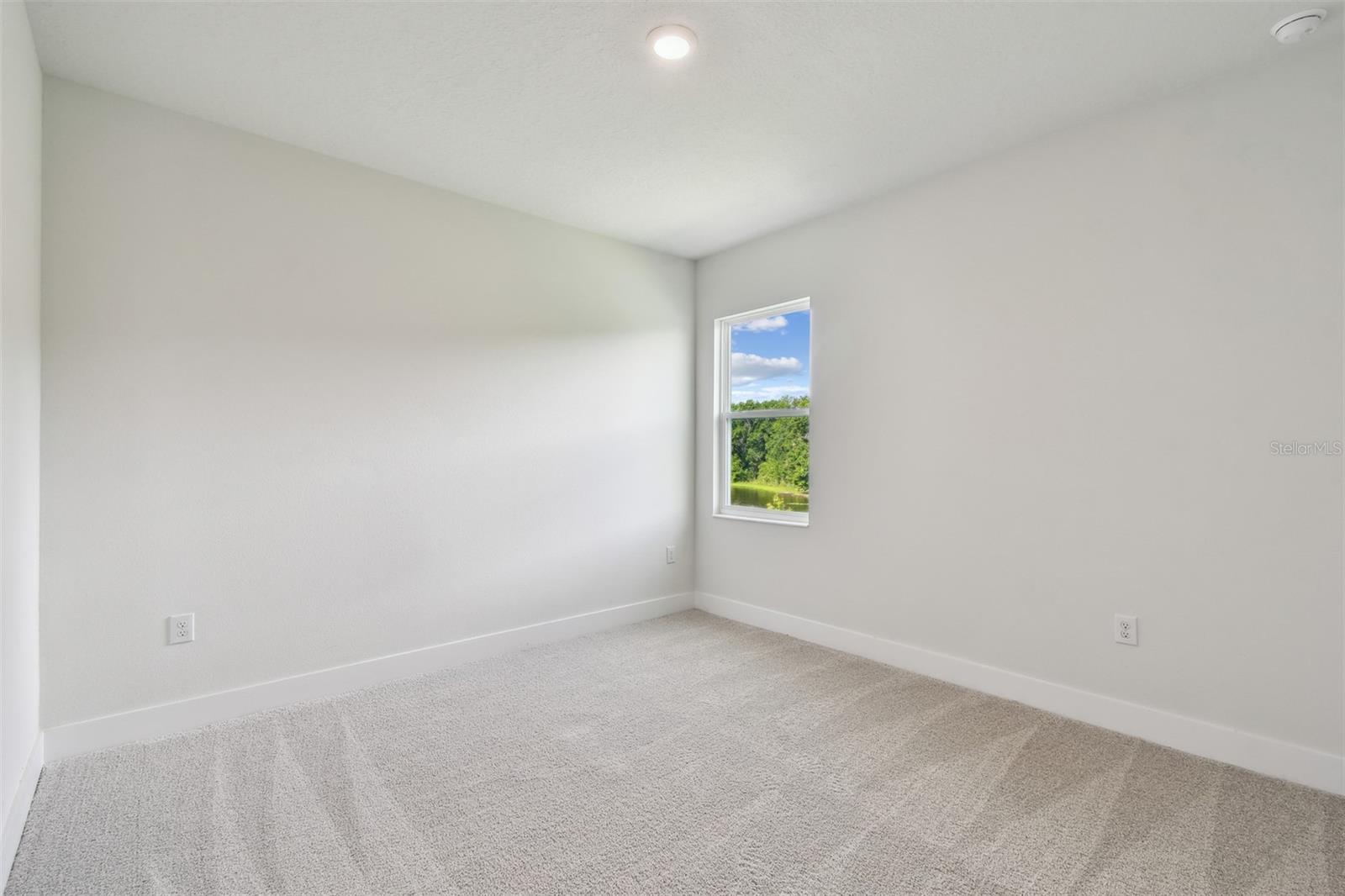 3319 GUANABANA XING, WESLEY CHAPEL, FL, 33543