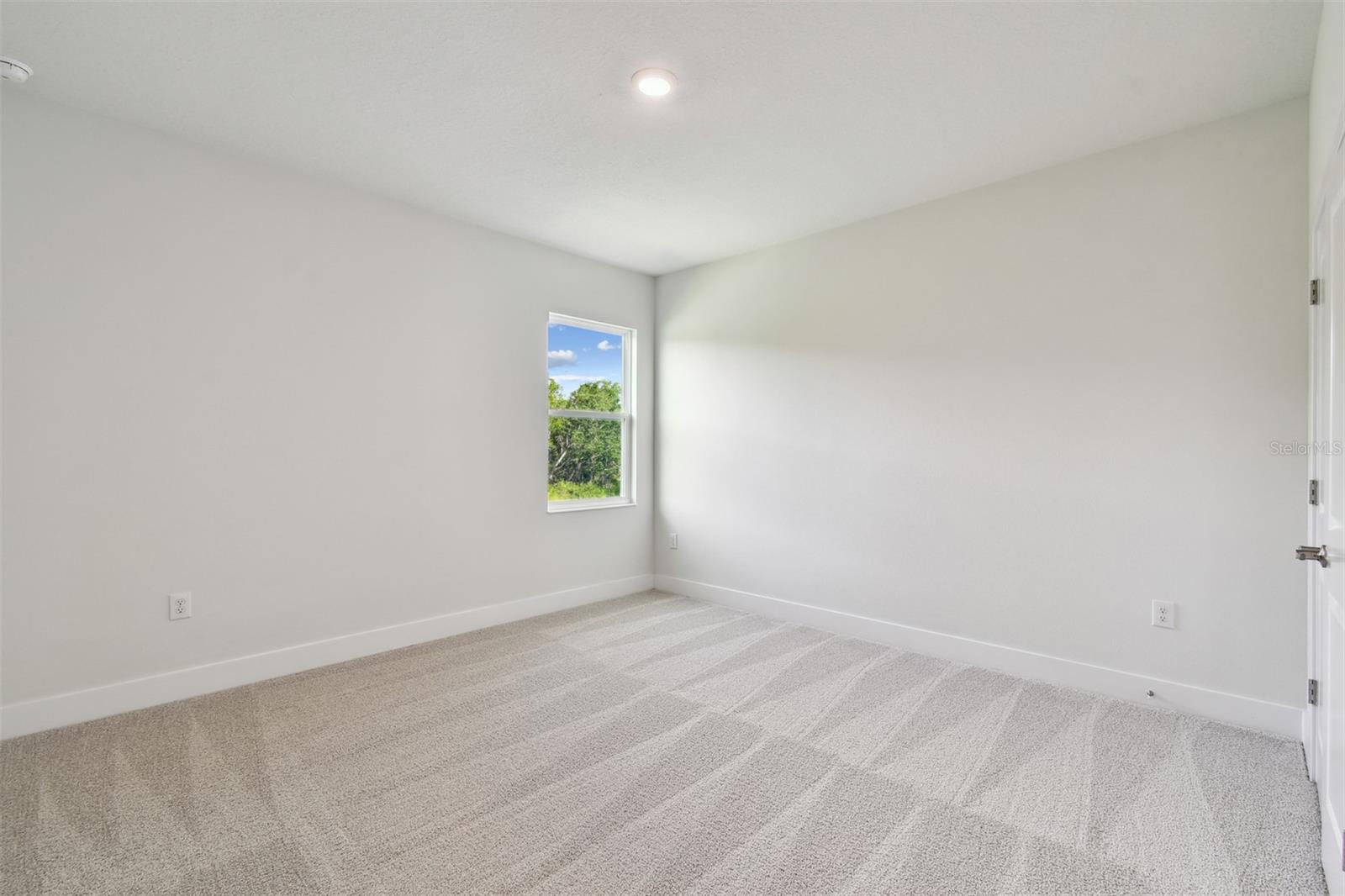 3319 GUANABANA XING, WESLEY CHAPEL, FL, 33543