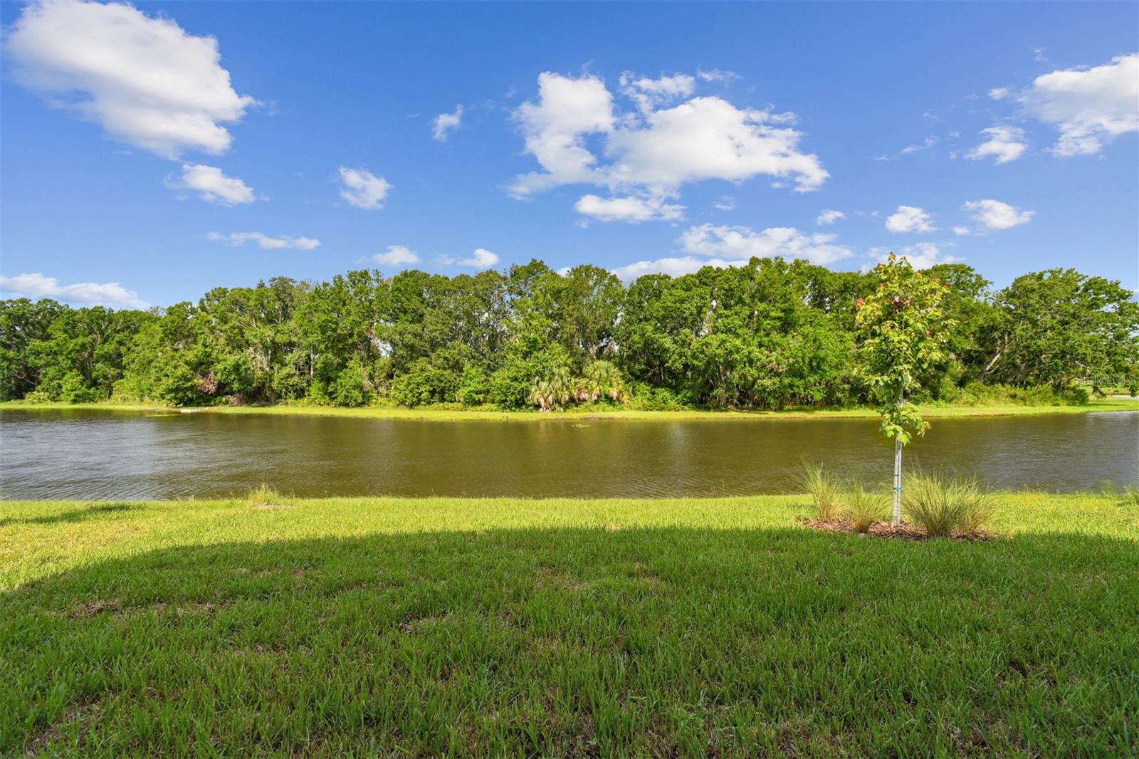 3319 GUANABANA XING, WESLEY CHAPEL, FL, 33543