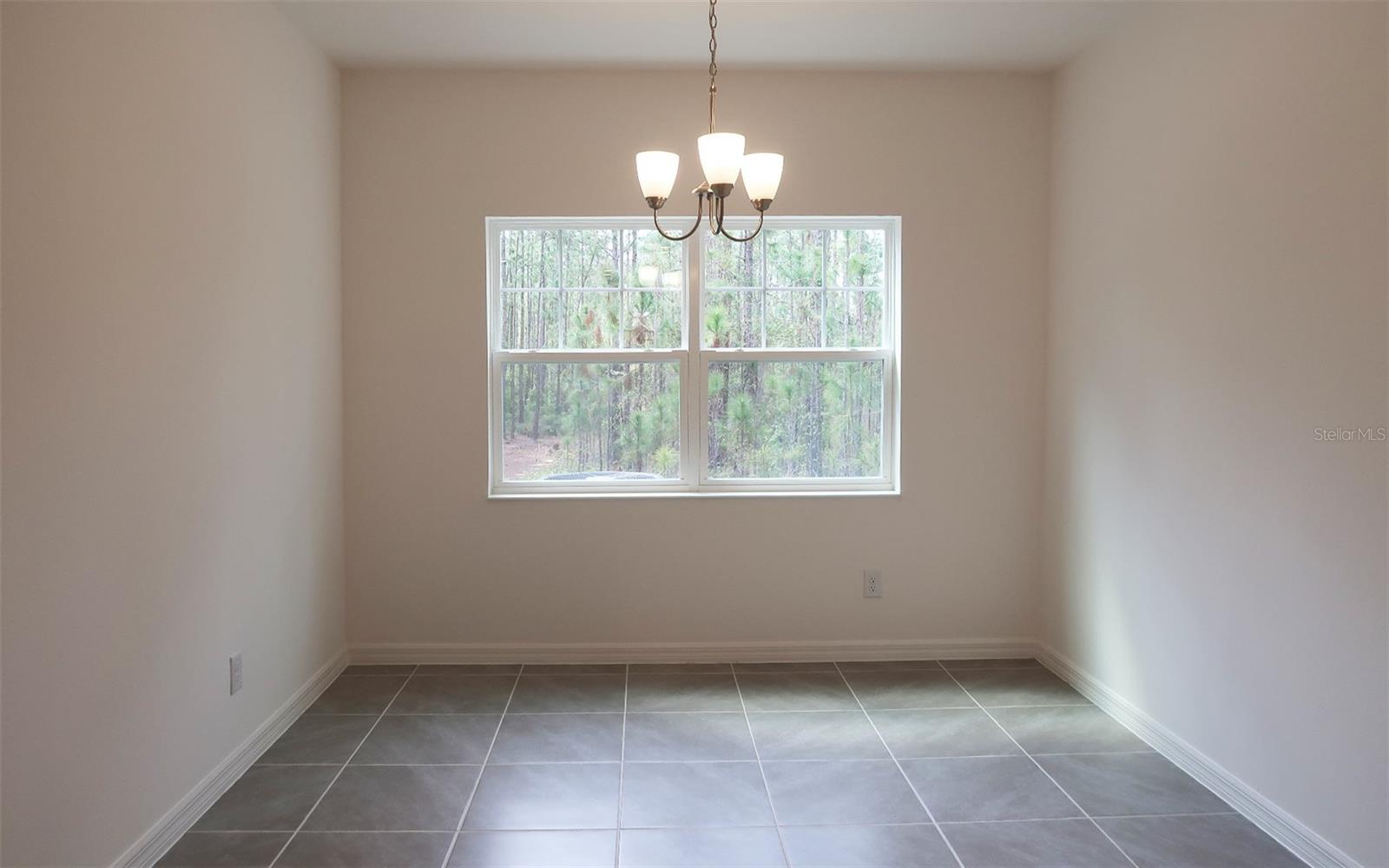 234 GLASS ONION DR, GROVELAND, FL, 34737