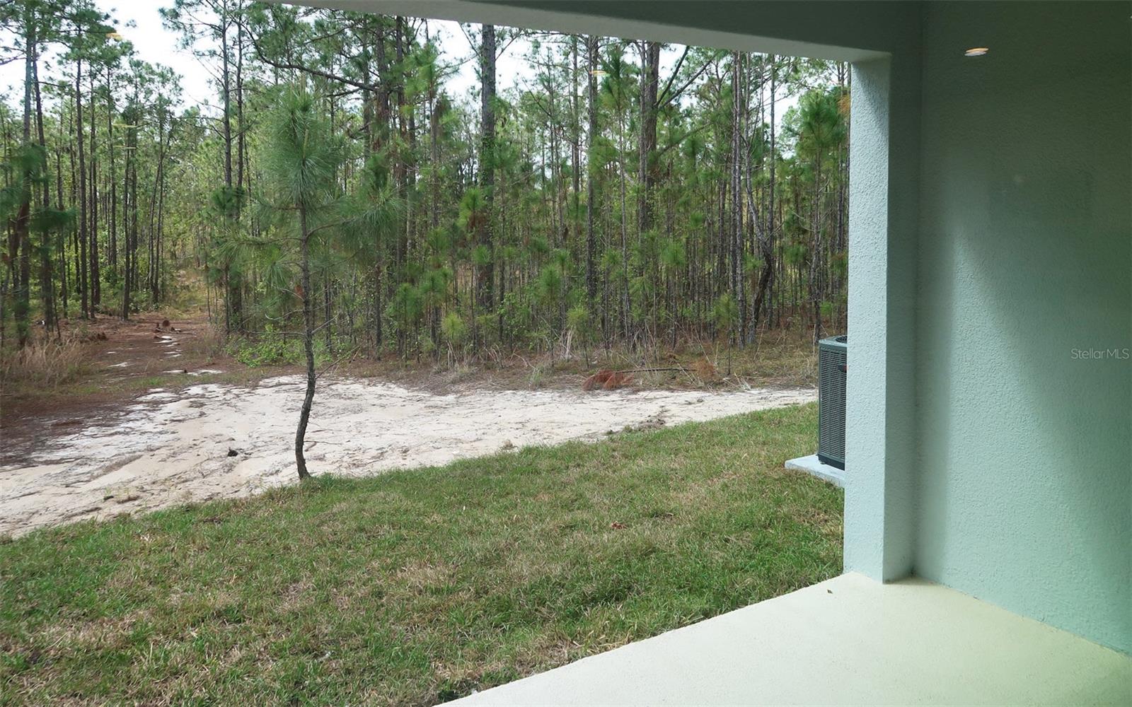 234 GLASS ONION DR, GROVELAND, FL, 34737