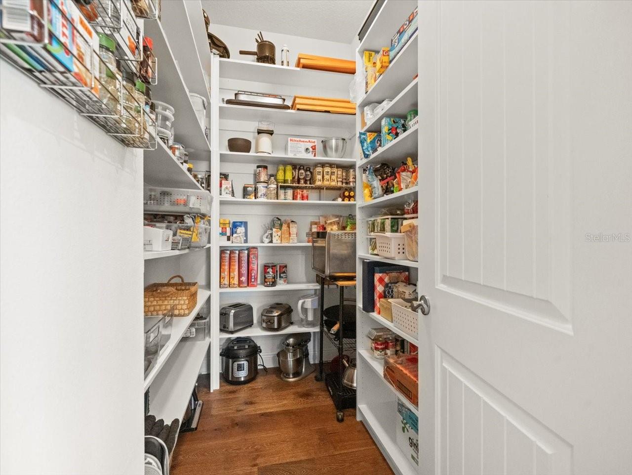 14209 QUINTESSA LN, LITHIA, FL, 33547