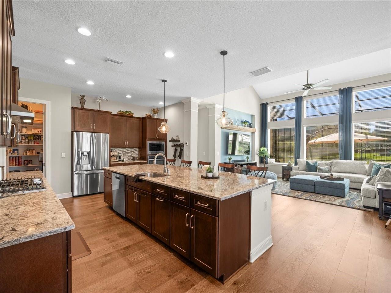 14209 QUINTESSA LN, LITHIA, FL, 33547