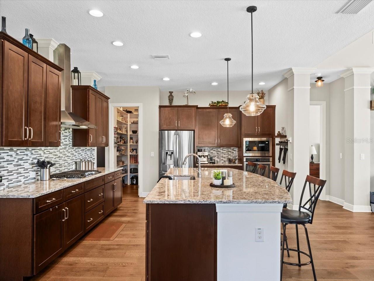 14209 QUINTESSA LN, LITHIA, FL, 33547