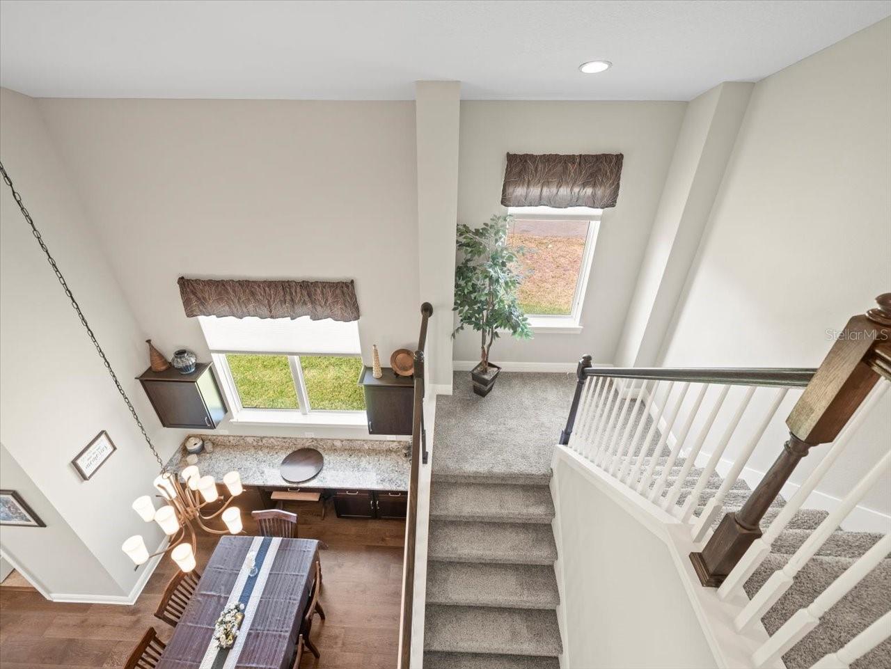 14209 QUINTESSA LN, LITHIA, FL, 33547