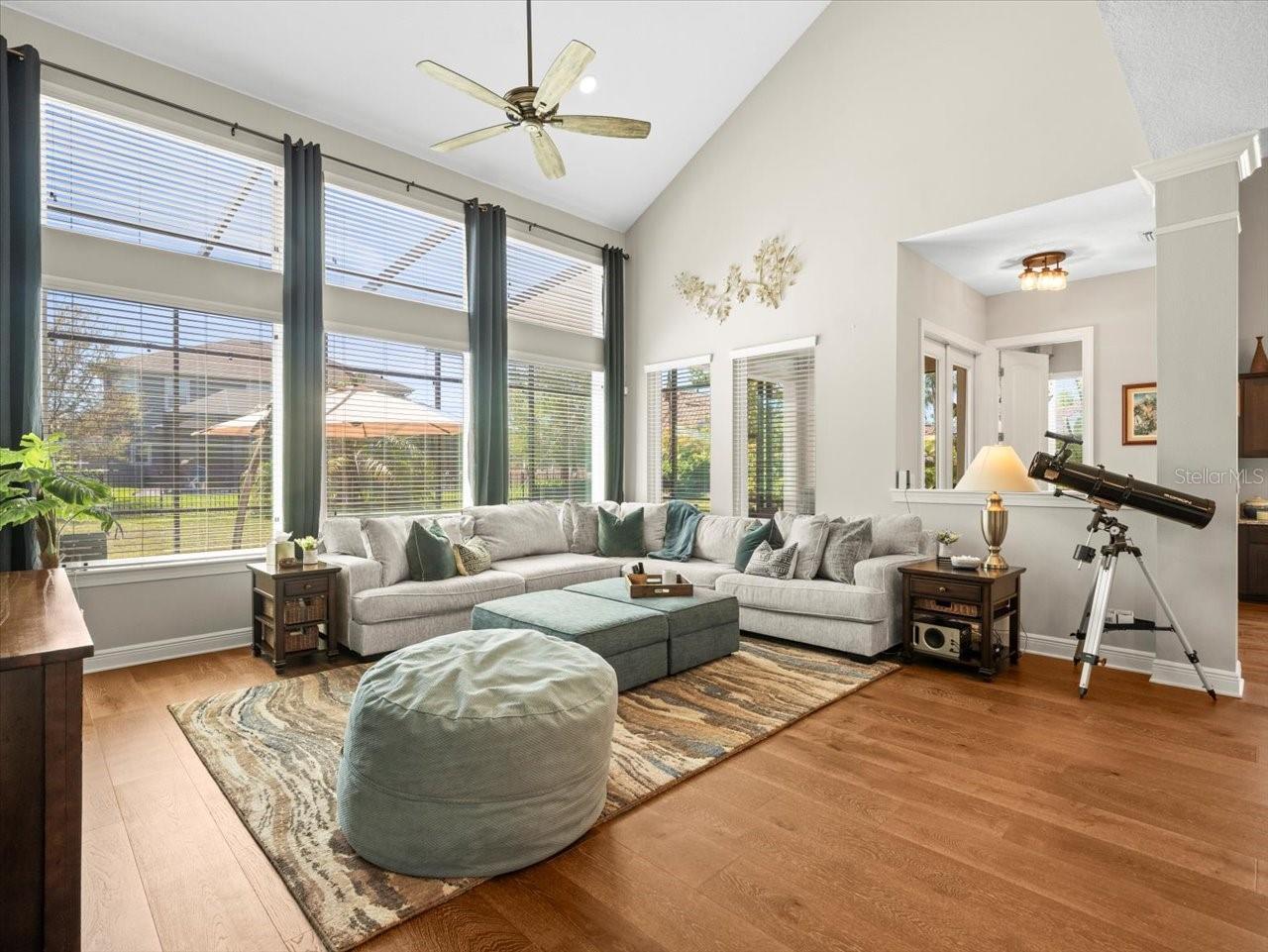 14209 QUINTESSA LN, LITHIA, FL, 33547