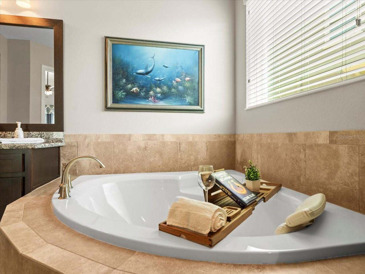 14209 QUINTESSA LN, LITHIA, FL, 33547